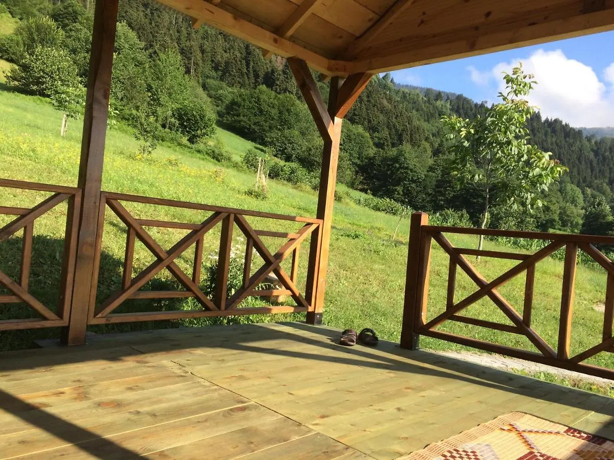 Hotel devor cafe Trabzon