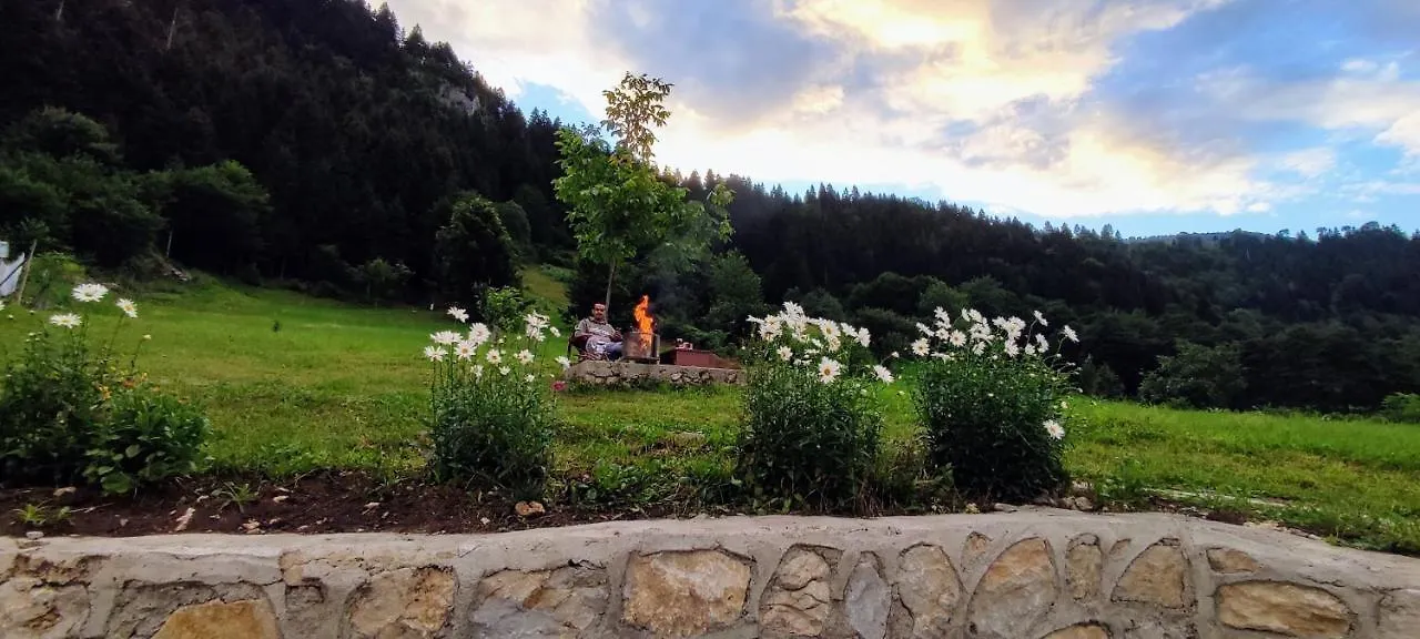 Gasthof Hotel devor cafe Trabzon Türkei
